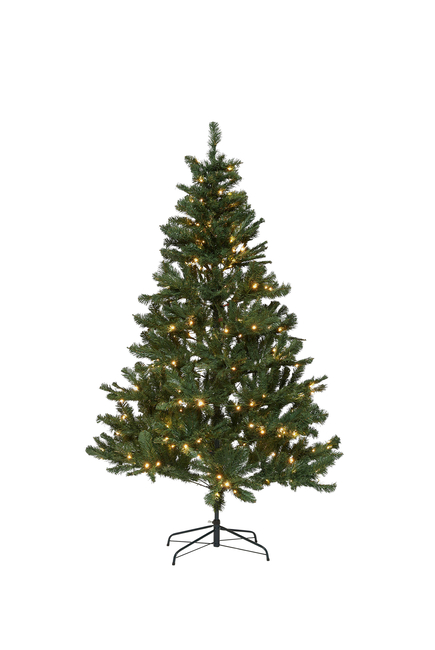 شجرة كريسماس سبيتسبيرجين مضاءة